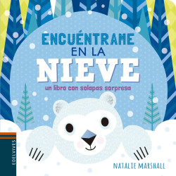 EN LA NIEVE