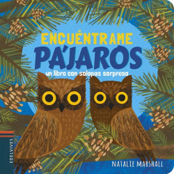 PÁJAROS